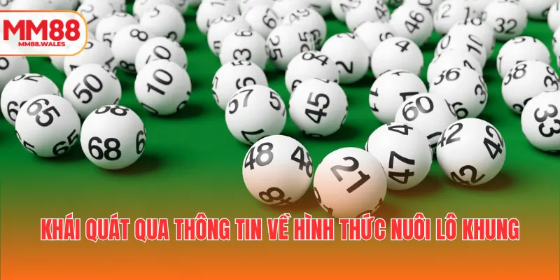 Khái quát qua thông tin về hình thức nuôi lô khung