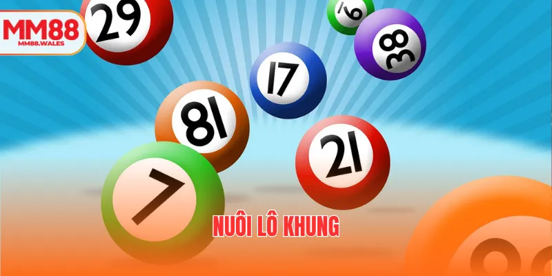 Ảnh đại diện nuôi lô khung